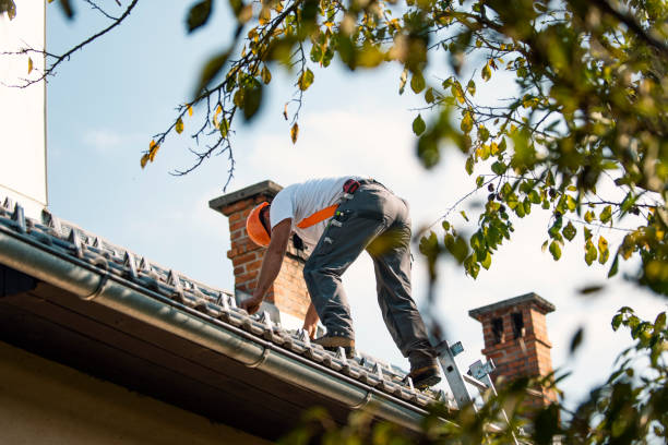 Fast & Reliable Emergency Roof Repairs in Anna, IL